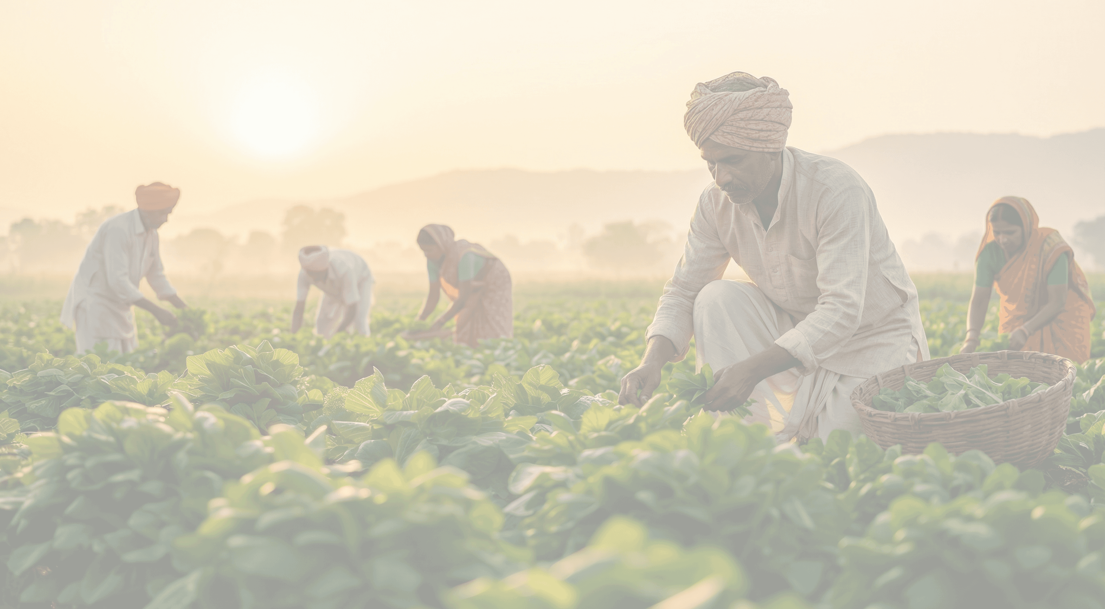 Krushiratn Digital Agriculture Platform Hero