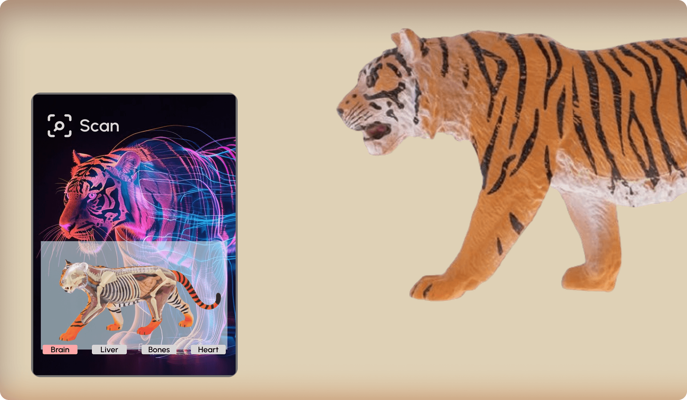 AR-powered archery analytics and training system with 3D visualization