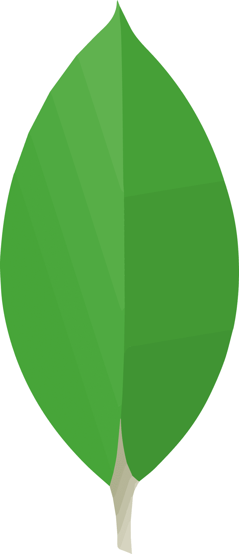 MondoDB